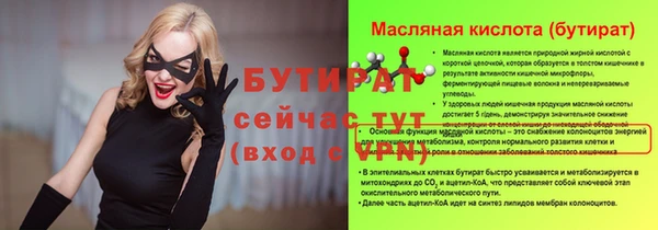 гашик Новодвинск