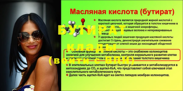 гашик Новодвинск