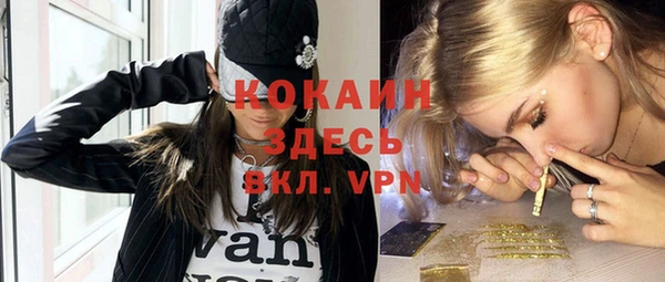 гашик Новодвинск