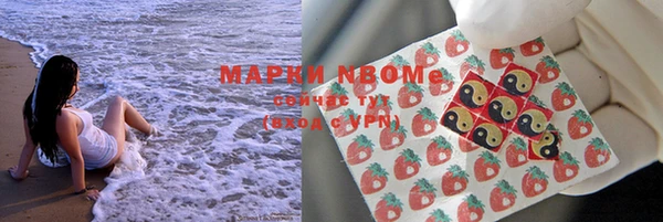гашик Новодвинск