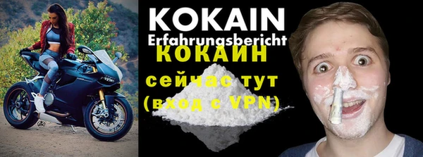 гашик Новодвинск