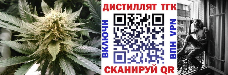 ТГК концентрат  Купить  Кочубеевское 