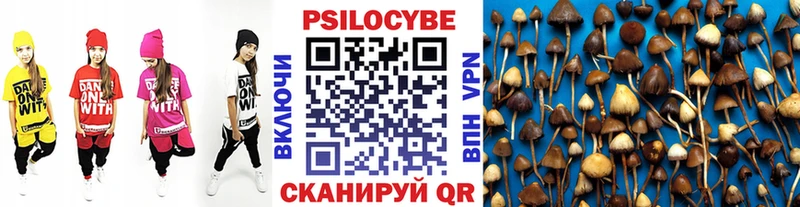 Купить  Кочубеевское  Псилоцибиновые грибы мухоморы 