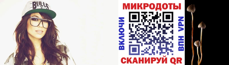 Галлюциногенные грибы мухоморы Кочубеевское